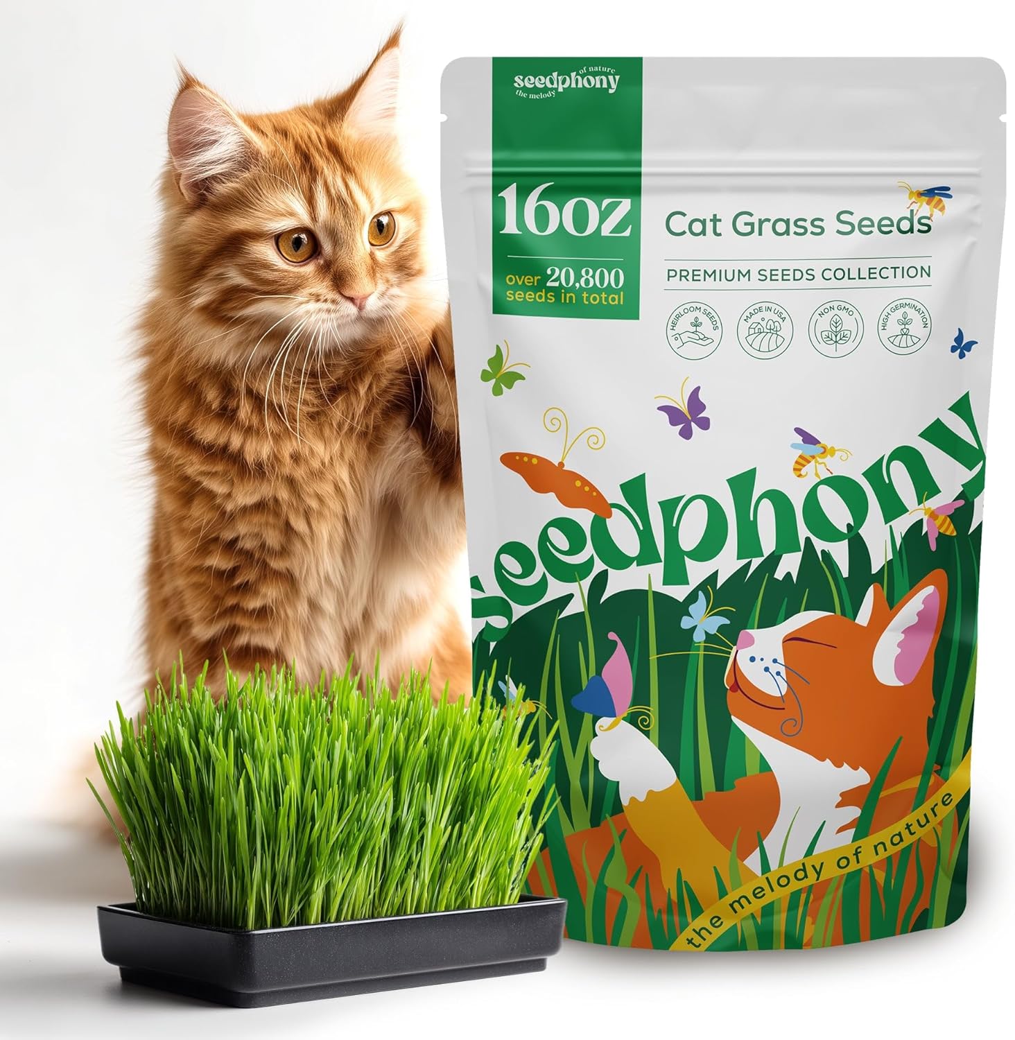 Seedphony Cat Grass Seed Mix – 16 oz Pack with 20,500 Non-GMO Heirloom Seeds for Cats, Barley, Oat, Rye  Wheatgrass for Indoor Growing, Fresh Pet Grass for Digestion  Hairball Control(Cat Grass Seeds 16oz)