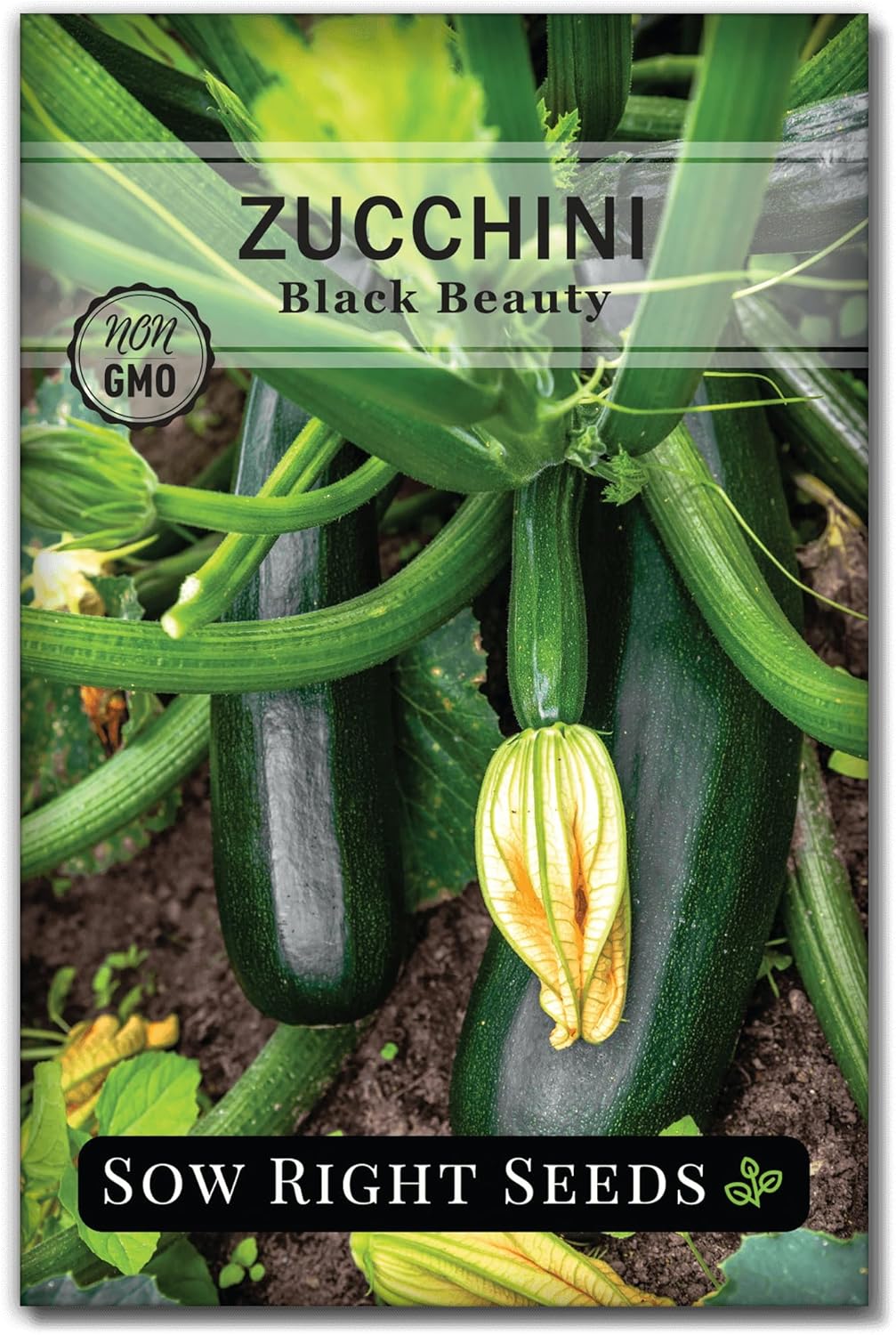Sow Right Seeds - Black Beauty Zucchini Seeds for Planting - Non-GMO Heirloom Packet with Instructions to Plant a Home Vegetable Garden - Summer Squash - Classic Zucchini Good for Large Containers (1)(1)