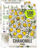 Seed Needs Roman Chamomile Seeds for Planting - Non-GMO, Heirloom  Untreated - Grow a Home Grown Medicinal Tea Herb Garden Indoors or Outdoors (1 Pack)