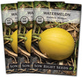 Sow Right Seeds - Golden Midget Watermelon Seed for Planting - Non-GMO Heirloom Packet with Instructions to Plant and Grow an Outdoor Home Vegetable Garden - Yellow Skin and Crimson Flesh (1)(3)