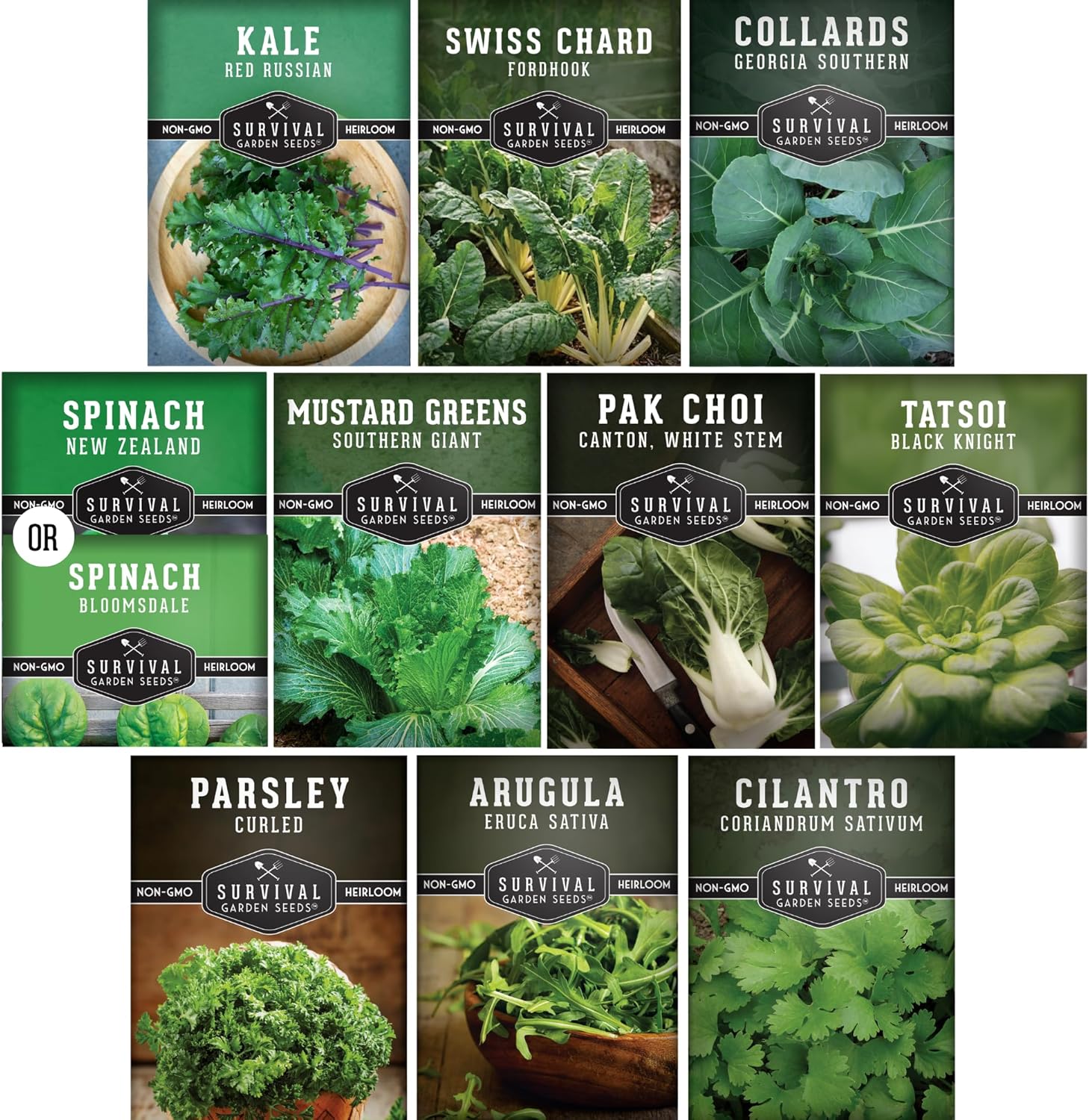 10 Power Greens Seed Collection – Heirloom Collards, Mustard, Swiss Chard, Spinach, Kale, Tatsoi, Pak Choi  More for Fall  Spring Planting | Survival Garden Seeds