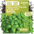 KVITER 2000 Italian Basil Seeds for Planting (Ocimum basilicum) - Sweet Genovese Basil, Heirloom  Non GMO, Classic Pesto Flavor - Herb Seeds to Plant in Containers, Outdoor  Indoor Herb Garden
