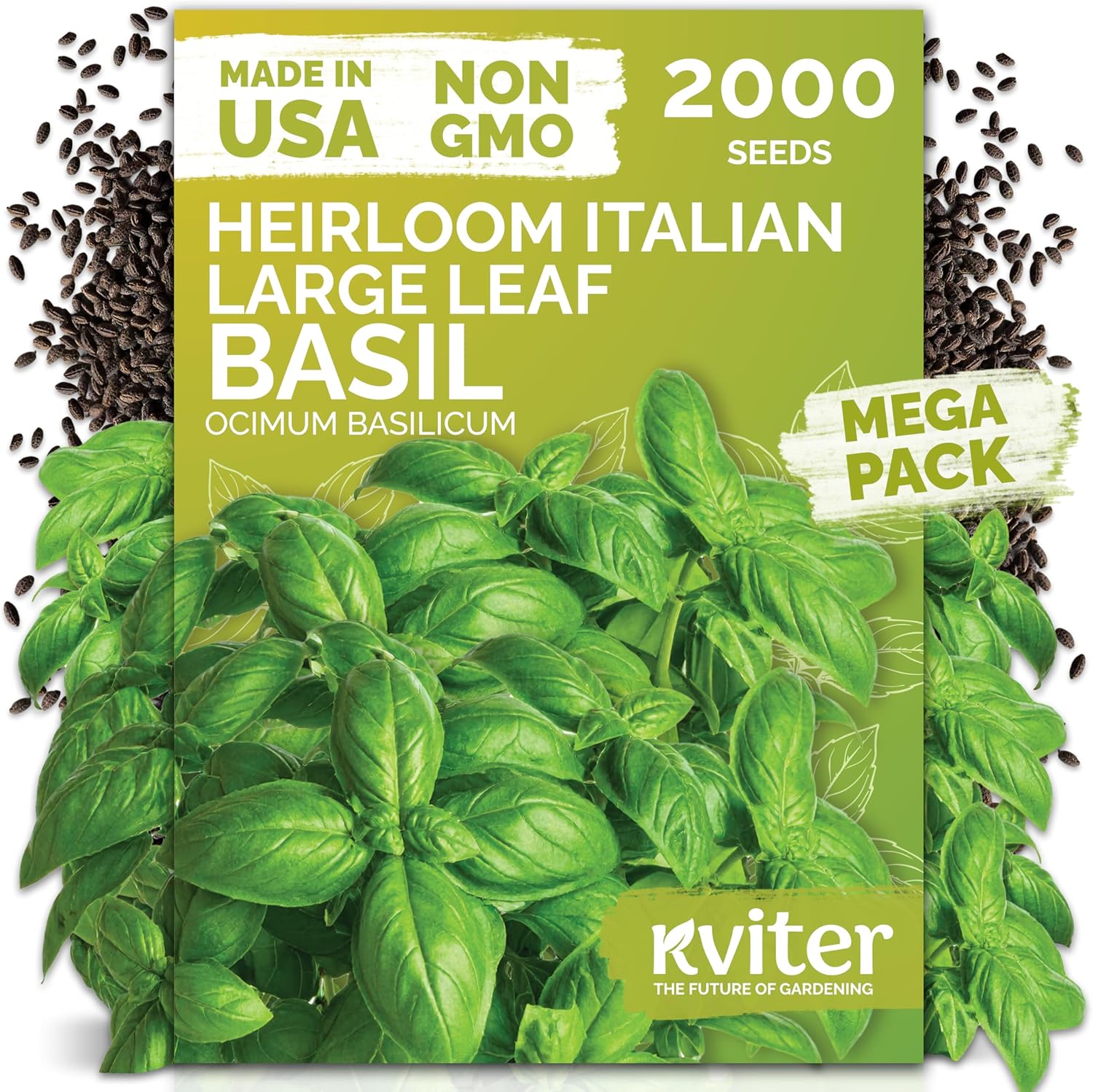 KVITER 2000 Italian Basil Seeds for Planting (Ocimum basilicum) - Sweet Genovese Basil, Heirloom  Non GMO, Classic Pesto Flavor - Herb Seeds to Plant in Containers, Outdoor  Indoor Herb Garden