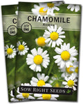 Sow Right Seeds - Roman Chamomile Seeds for Planting - Non-GMO Heirloom Packet with Instructions to Grow an Herbal Tea Garden - Indoors or Outdoor - Low Growing with Small Daisy-Like Blooms (1)(2)