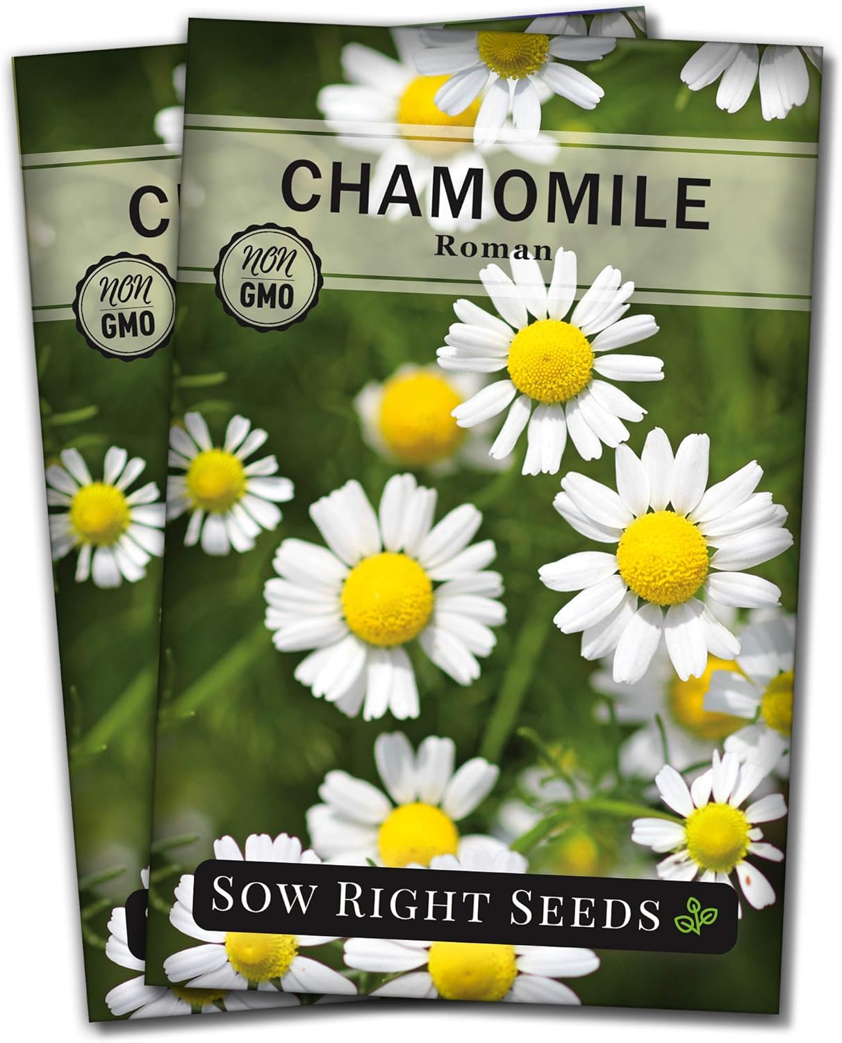 Sow Right Seeds - Roman Chamomile Seeds for Planting - Non-GMO Heirloom Packet with Instructions to Grow an Herbal Tea Garden - Indoors or Outdoor - Low Growing with Small Daisy-Like Blooms (1)(2)