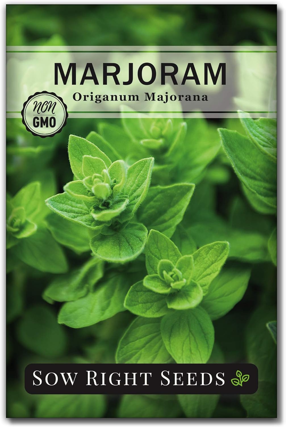Sow Right Seeds - Marjoram Seeds for Plantin - Non-GMO Heirloom Packet with Instructions to Grow A Beautiful Herb Garden - Plant Indoors and Outdoors - Savory Culinary Herb in The Kitchen (1)