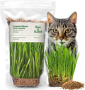 Rose  Branch Organic Wheat Grass Seeds for Indoor Cats - Cat Grass Seeds - 16 Ounces - 100% Organic Non-GMO - Hard Red Wheat - Harvested in USA - Easy to Grow(16Oz)