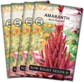 Sow Right Seeds - Red Garnet Amaranth Seeds for Planting - Non-GMO Heirloom Packet with Instructions to Plant  Grow an Outdoor Home Vegetable Garden - Colorful  Unique - Trailing Variety (1)(4)