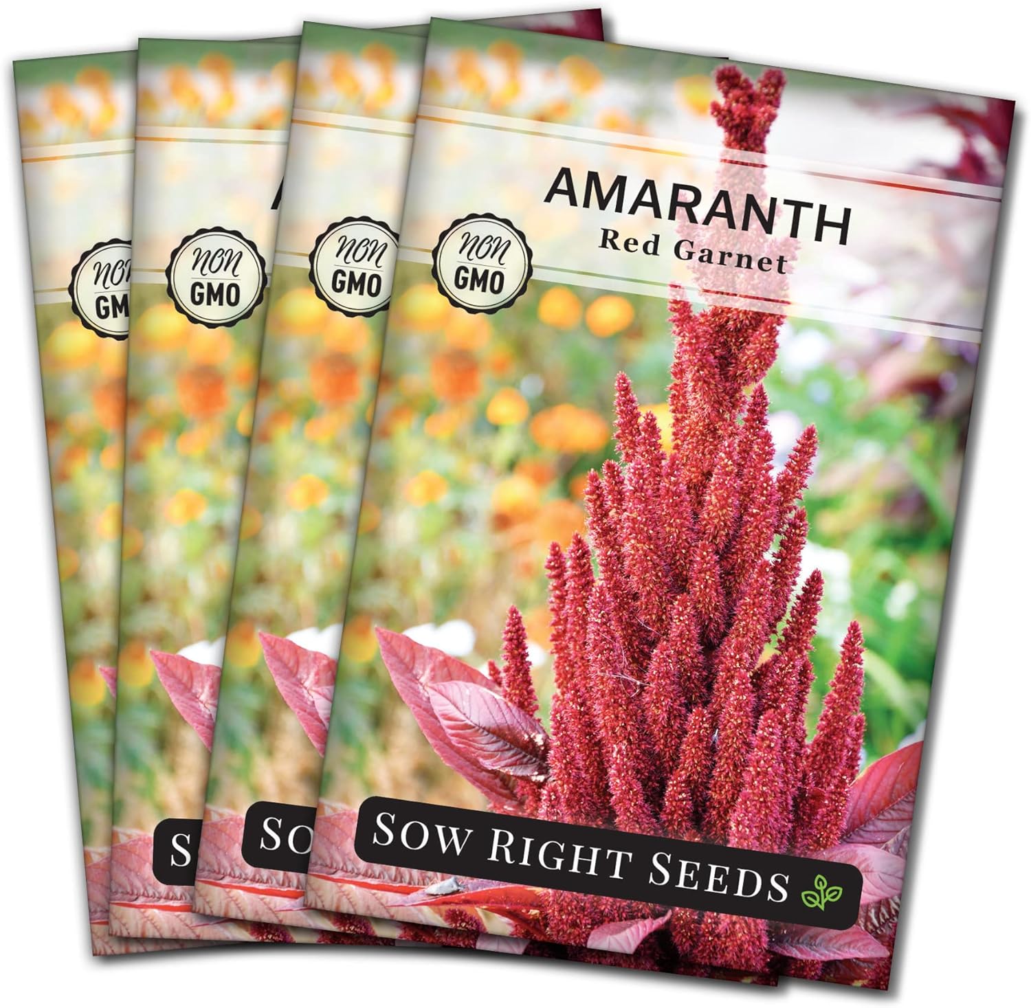 Sow Right Seeds - Red Garnet Amaranth Seeds for Planting - Non-GMO Heirloom Packet with Instructions to Plant  Grow an Outdoor Home Vegetable Garden - Colorful  Unique - Trailing Variety (1)(4)