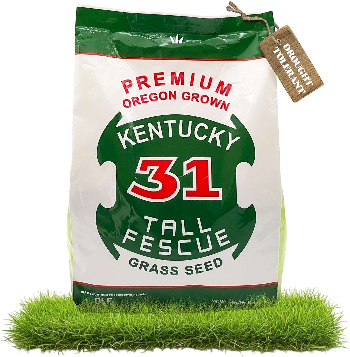 X-Seed Oregon Grown Kentucky 31 Tall Fescue Grass Seed for Sun and Shade Drought-Resistant Lawn for High Traffic, Forage  Turf Grass – Designed for Extreme Durability  Retaining Moisture – 5 lb Bag